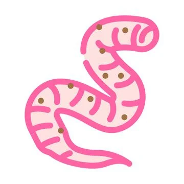 Roundworm parasite color icon vector illustration Illustrazione stock