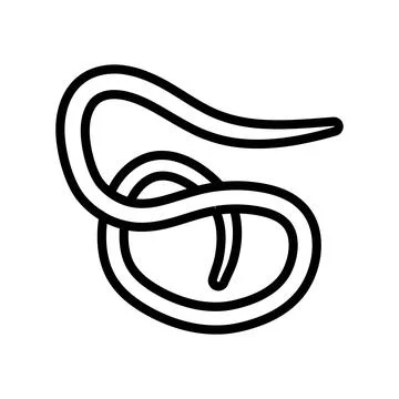 Roundworm parasite line icon vector illustration 스톡 일러스트