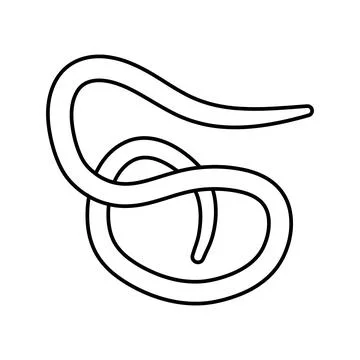 Roundworm parasite line icon vector illustration Stock Illustration