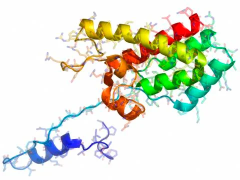 Rous sarcoma virus capsid protein Stock Illustration
