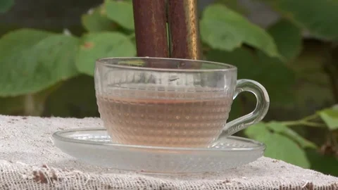 Rouse tea Stock Footage 325629645