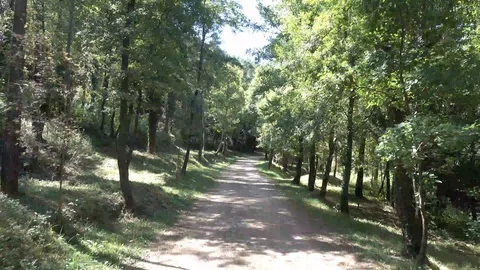 The route of Ter by Ripoll, Girona Stock Footage 120328977
