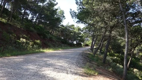 Route through the desert of the palms Stock Footage 76708855