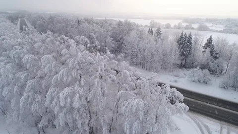 Route through the forest Stock Footage 100242502