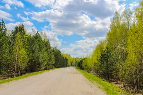 The route through the forest Stock Photos