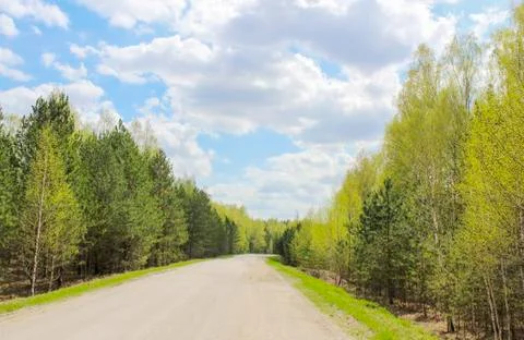 The route through the forest Stock Photos