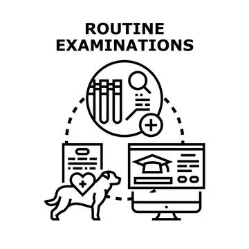 Routine examinations vector concept for pet healthcare Stock Illustration