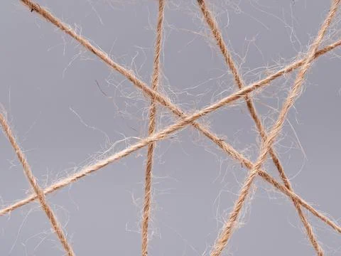 Routine network spider web of coarse threads on gray background Foto stock