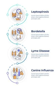 Routine pet immunizations infographic design template Stock Illustration