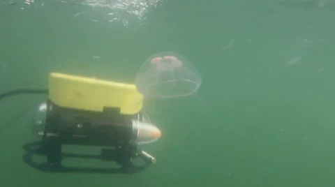 ROV unit passing a jellyfish Stock Footage 11845960
