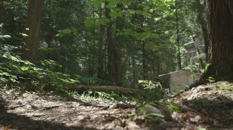 Rover Robot in a Forest Stock Footage 64353594