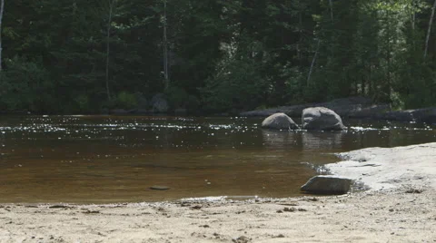 Rover Robot Rolling Next to a River Stock Footage 64353833