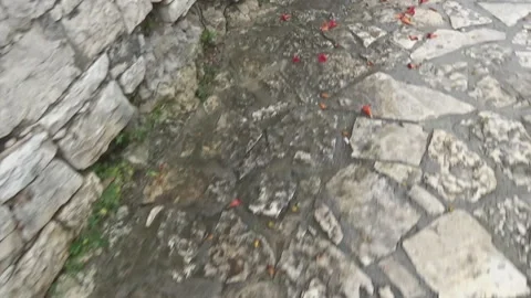 Rovinj streets, pavement 스톡 동영상 113076429