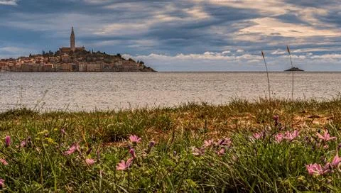 Rovinj view Foto stock