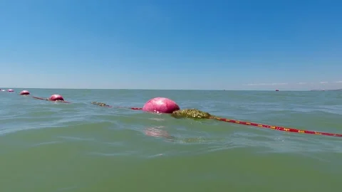 A Row of Aligned Pink Buoys Floating Gently on Calm Ocean Water, Highlighting Sa Stock Footage 308935870