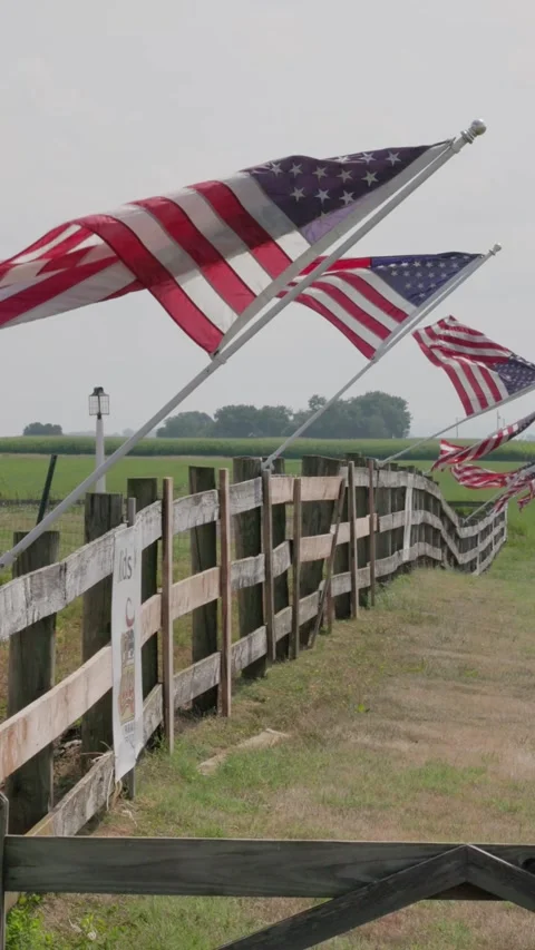 A row of American flags are flying in the wind behind a wooden fence Stock Footage 311268107