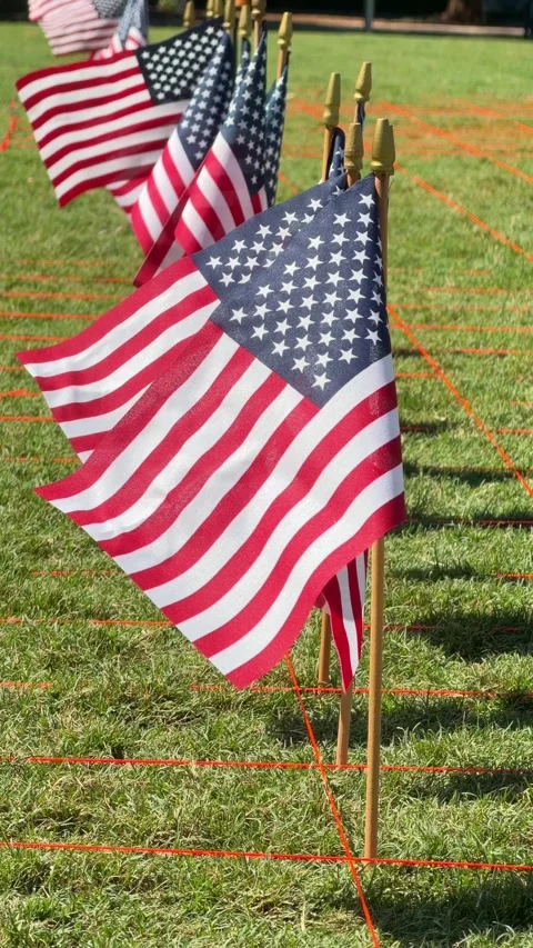 Row of American flags blowing in the wind Видео 346327127