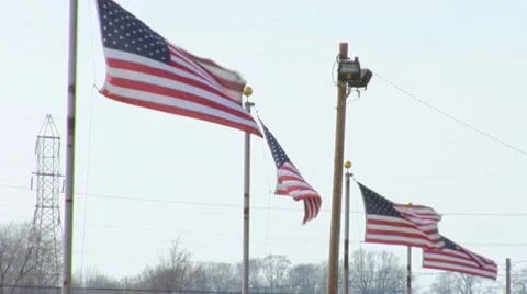 Row of American Flags Stock Footage 10800259