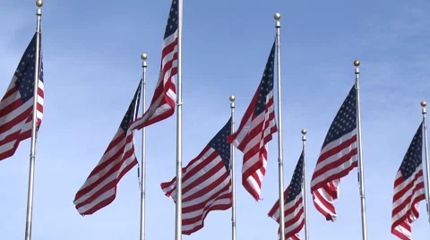 Row of American flags Stock Footage 57675196