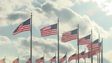 Row Of American Flags. Washington DC. 4K. Stock Footage 150605355