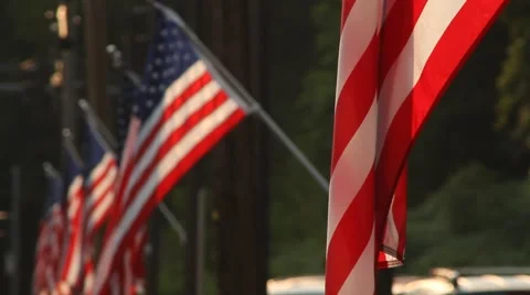 Row of American flags, waving in wind, sun, summer Stock Footage 40714736