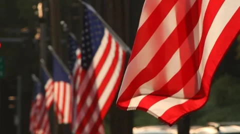 Row of American flags, waving in wind, sun, summer Stock Footage 40715300