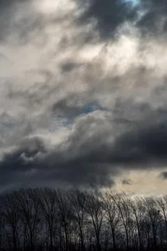 A row of bare trees with storm clouds Foto stock