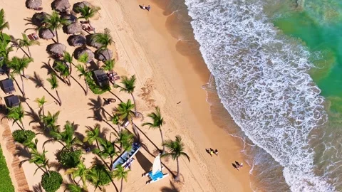 A row of beach umbrellas stands under palm trees on a sandy beach, aerial view. Видео 329145531