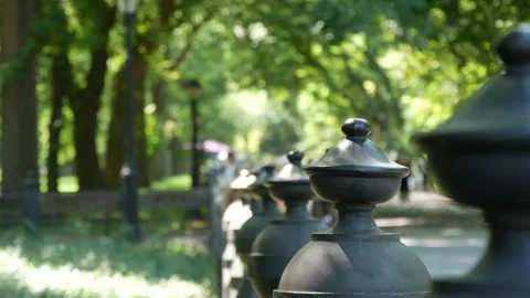 Row of benches in Central Park of New York City, United States. Green oasis in Stock Footage 332693648