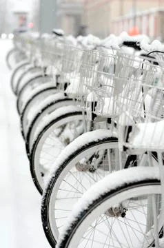 Row of bicycles Stock Photos
