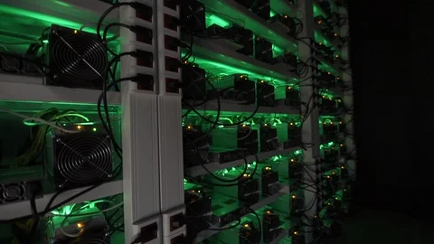 Row of bitcoin miners set up on the wired shelfs. Stock Footage 104851785