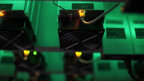 Row of bitcoin miners set up on the wired shelfs. Stock Footage