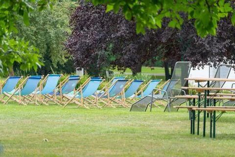 Row of blue beach deck chairs beneath trees on lawn Фото