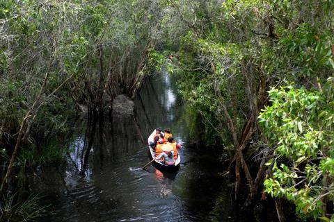 Row boat in forest from high view Stock Photos