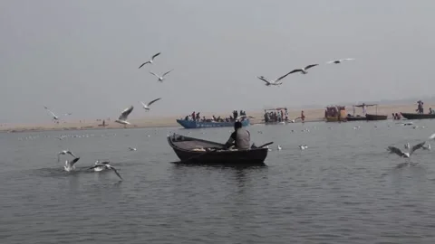 A Row Boat On The Ganges River In Varanasi, India Stock Footage 159173822