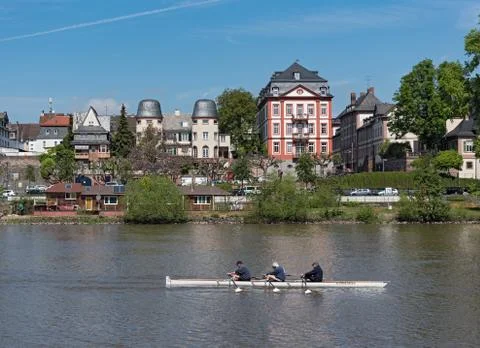 Row boat on the Main River in front of the Old Town of Frankfurt-Hoechst Stock Photos
