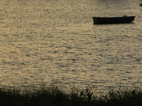 Row Boat &amp; Ripples Video stock 285876