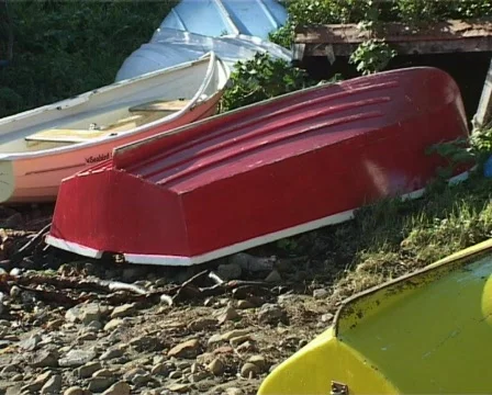 Row boats on shore Stock Footage 139876