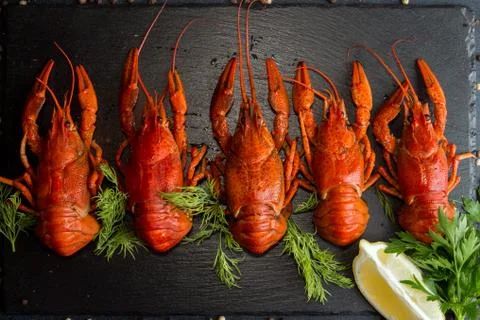 Row of boiled cooked crayfish crawfish ready to eat on black background. Over Foto stock