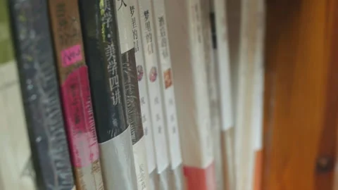A row of books on the shelf Close up 스톡 동영상 163107892