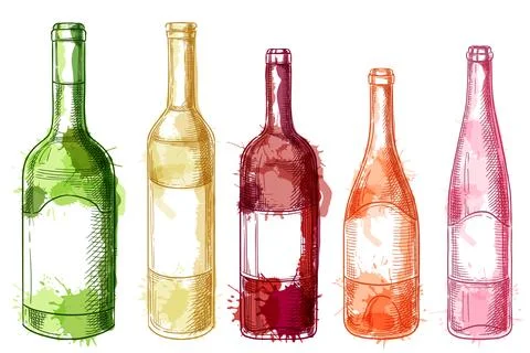 Row of bottles with different wines. Vector hand drawn watercolor sketch il.. Stock Illustration