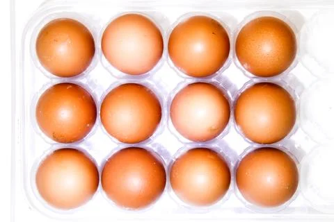 The row of breed chicken eggs Stock Photos