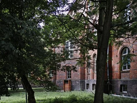 A row of brick buildings with a tree in front of them Stock Photos