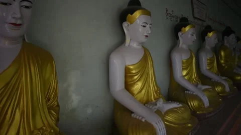 The row of Buddha statues Stock Footage 146493311