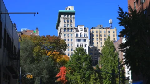 Row of buildings stands beyond trees in the Union Square Park in New York City Stock-Footage 220952094