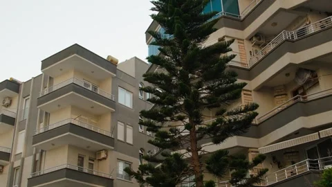 Row of Buildings with Trees Stock Footage 339702897