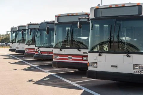 Row of Buses Stock Photos