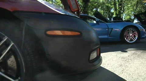 A row of C 6 Corvettes Stock Footage 850767