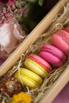 Row of cake macaroons in gift box on bright background. Close up macaron dessert Stock Photos