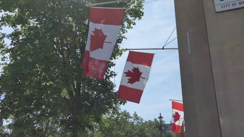 A row of Canadian flags hanging off the wall outdoors. Stock Footage 252458750